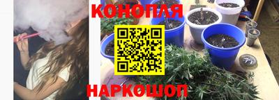ПСИЛОЦИБИНОВЫЕ ГРИБЫ Гатчина