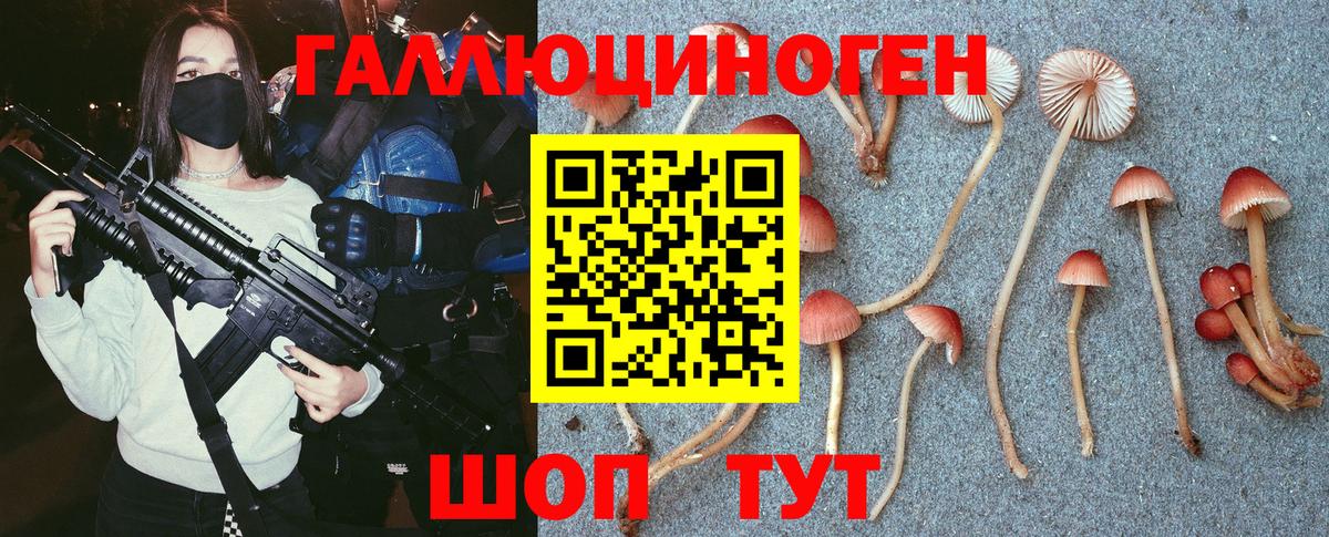 Воркута  Псилоцибиновые грибы ЛСД  как найти наркотики  Вход с VPN 